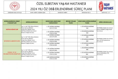 Özdeğerlendirme süreç planı